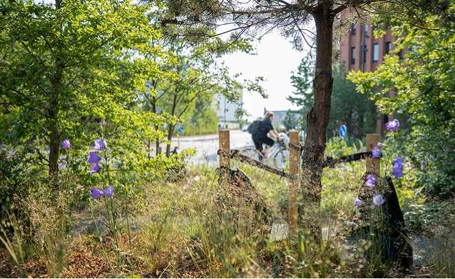 Byen vågner: Biodiversitet - hvad, hvorfor og hvordan?