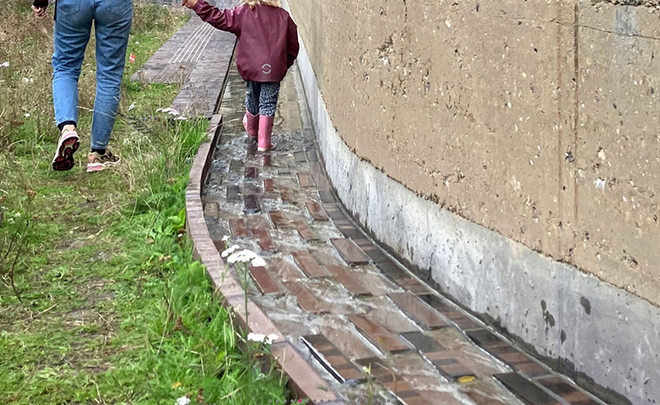 Fremtidens gårdhave - Tomsgårdsvej