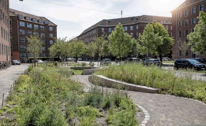 Byvandring: Klimatilpasning på Frederiksberg